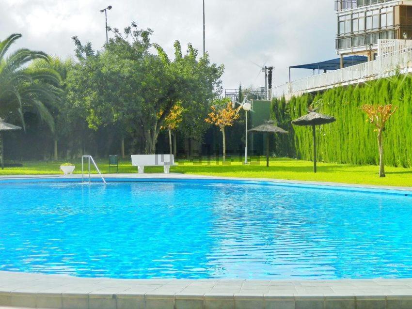 Apartamento En 1ª Linea Con Piscina Alicante Eksteriør bilde